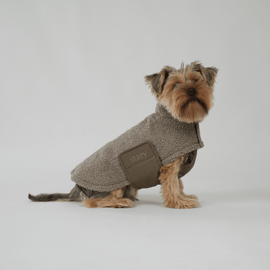 Staey Teddy - koiran välikausitakki, taupe