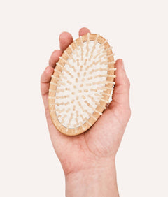 Teo massage brush