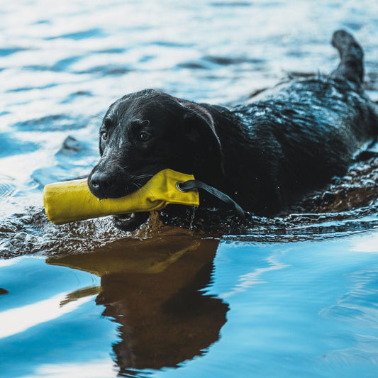 Rukka Pets Training Dummy - noutokoulutusväline