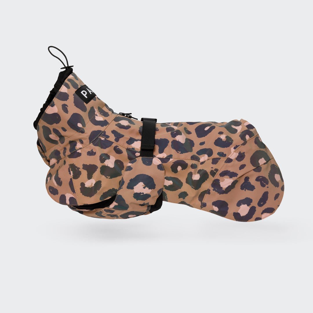 Dog clothes