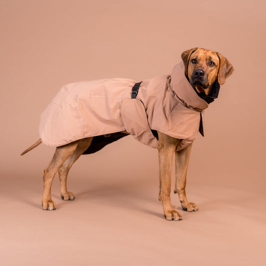 PAIKKA Visibility - talvitakki koiralle, taupe