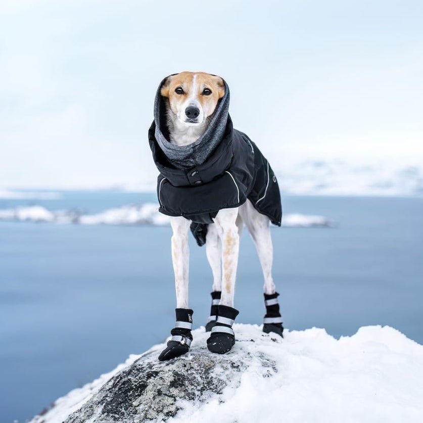 Rukka Pets Warmup 2.0 - talvitakki, musta
