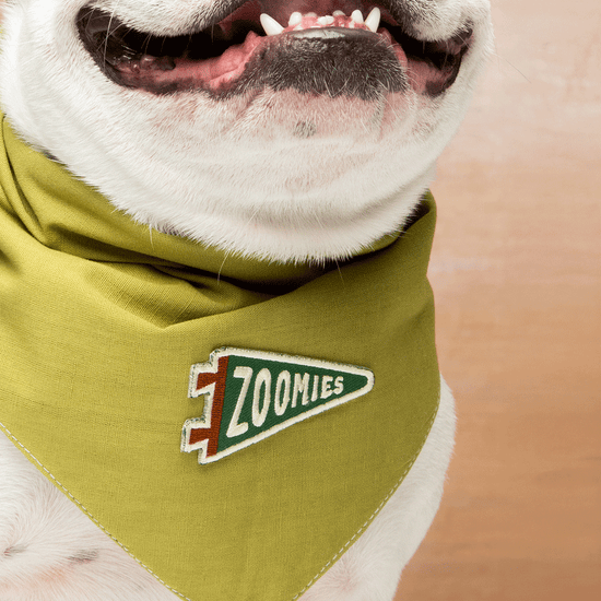Scout's Honour Zoomies - silitettävä kangasmerkki lemmikille